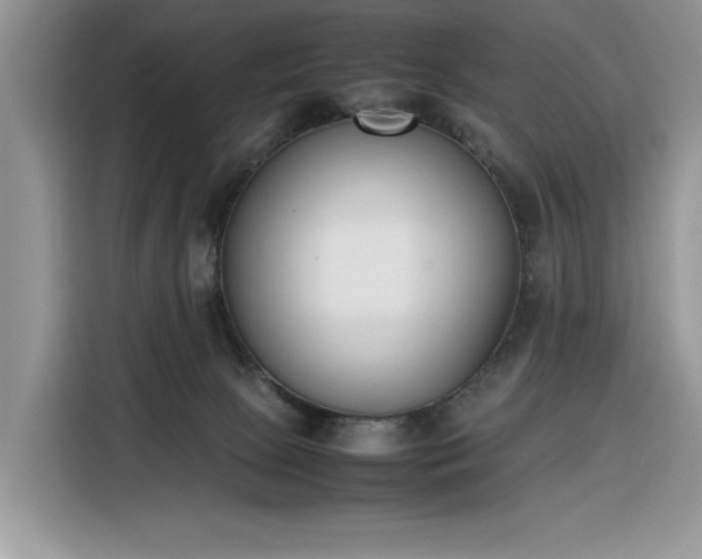 X0000116290081200912071219