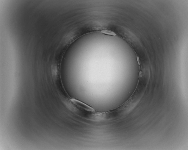 X0000116290084200912071219