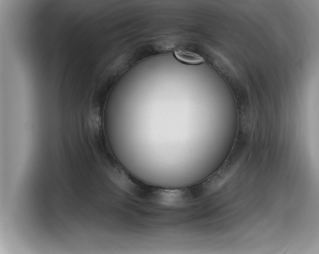 X0000116290085200912071219