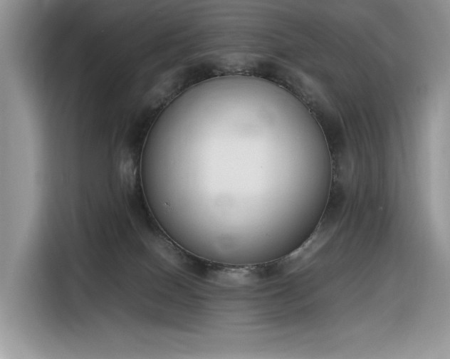 X0000116290086200912071219