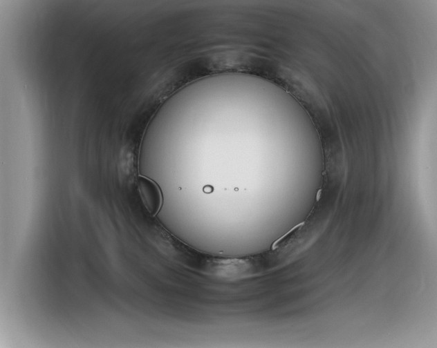 X0000116290087200912071219