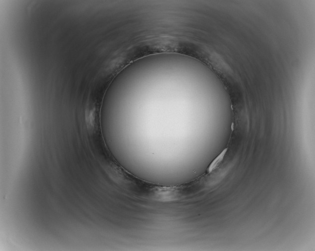 X0000116290088200912071219