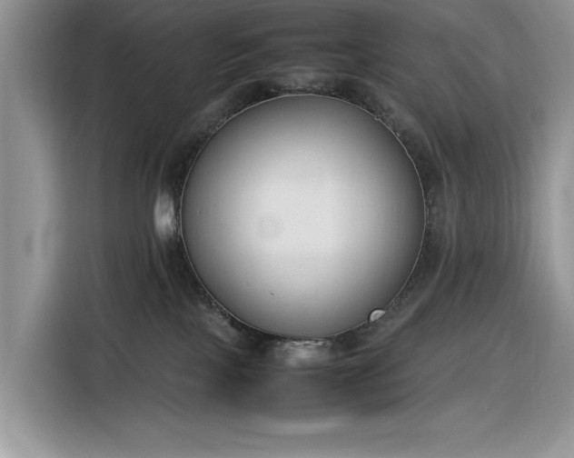 X0000116290089200912071219