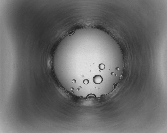 X0000116290090200912071219