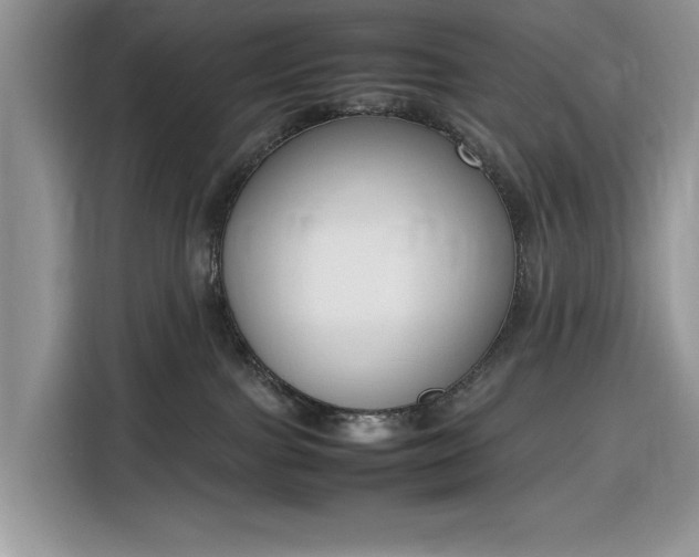 X0000116290091200912071219