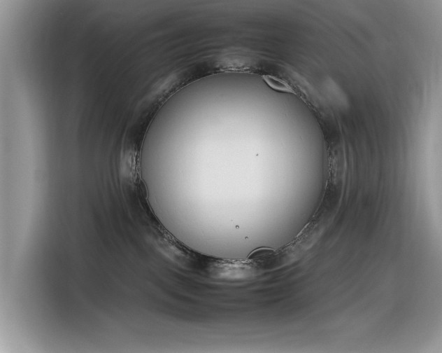 X0000116290093200912071219