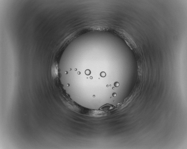 X0000116290095200912071219