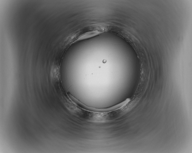 X0000116290096200912071219