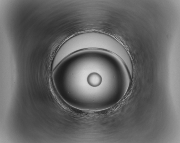 X0000116290097200912071219