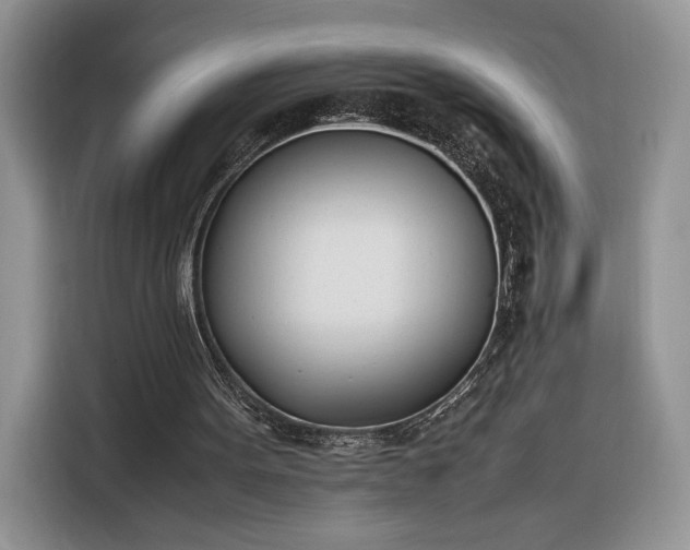 X0000116290099200912071219