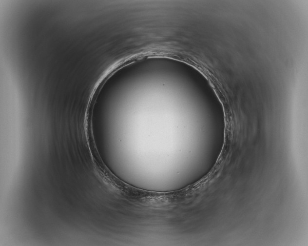 X0000116290100200912071219