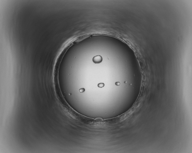 X0000116290104200912071219