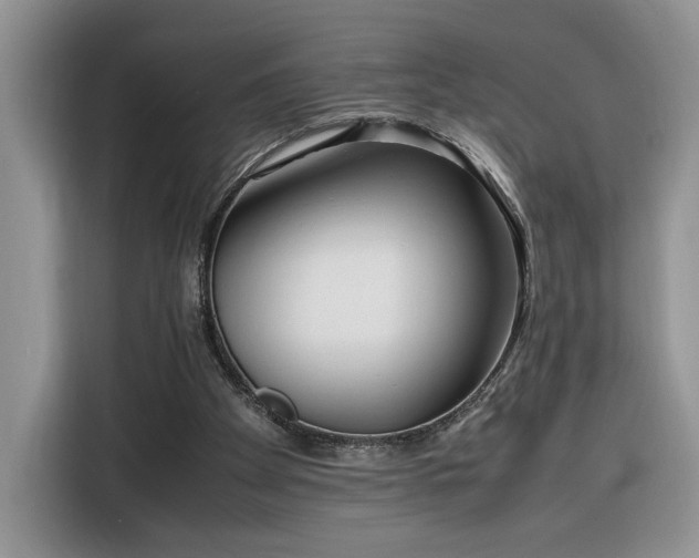 X0000116290105200912071219