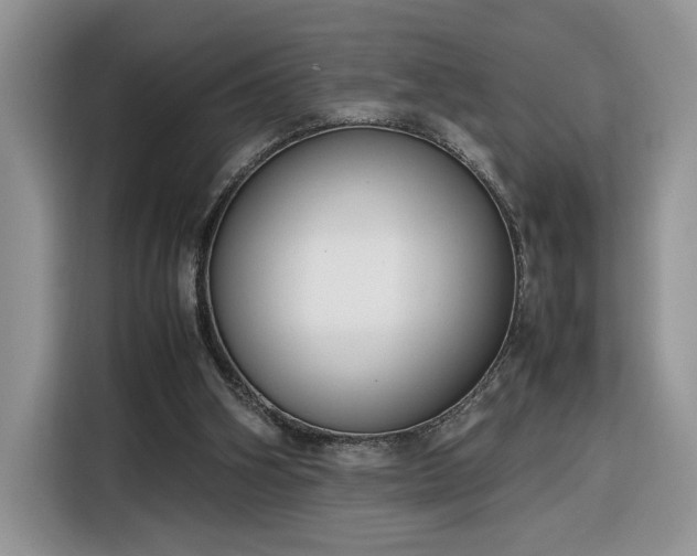 X0000116290106200912071219