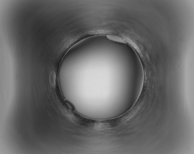 X0000116290109200912071219