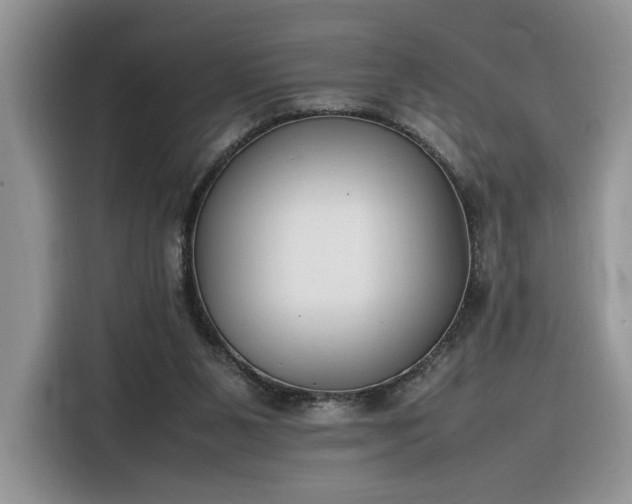 X0000116290111200912071219