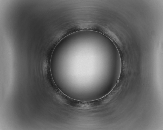 X0000116290113200912071219