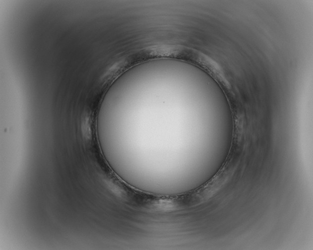 X0000116290114200912071219