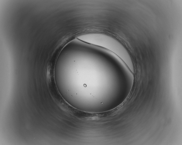 X0000116290116200912071219