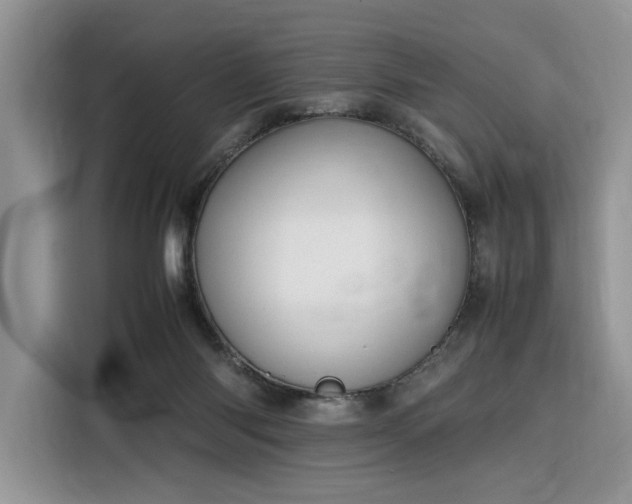 X0000116290118200912071219