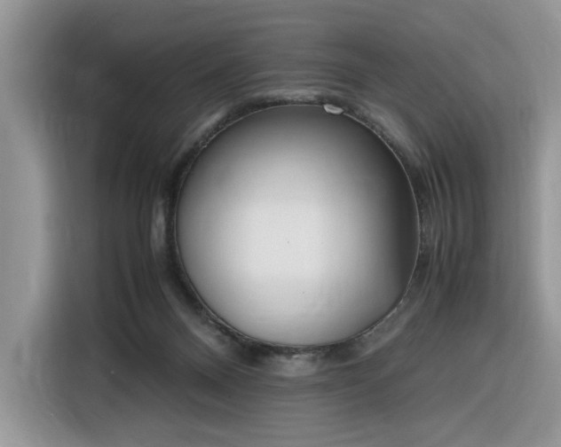 X0000116290120200912071219