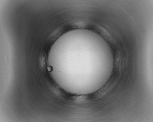 X0000116290122200912071218