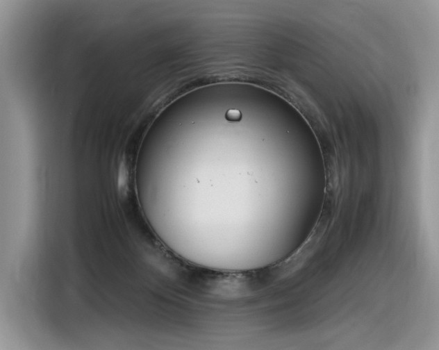 X0000116290124200912071218