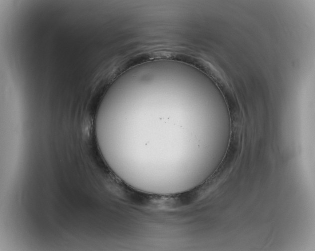 X0000116290125200912071218