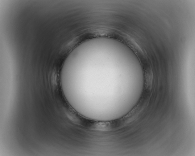 X0000116290126200912071218