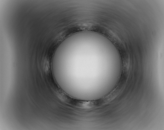 X0000116290130200912071218