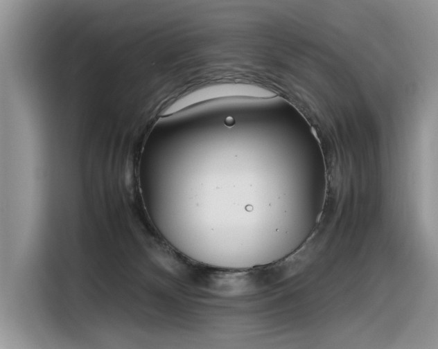 X0000116290132200912071218