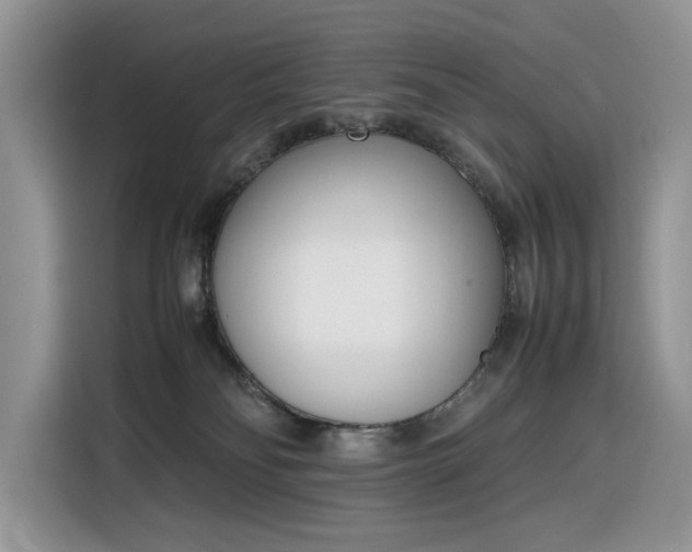 X0000116290134200912071218