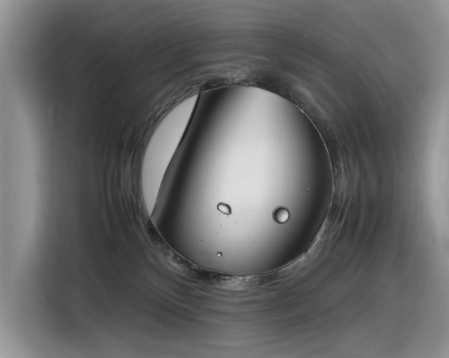 X0000116290136200912071218