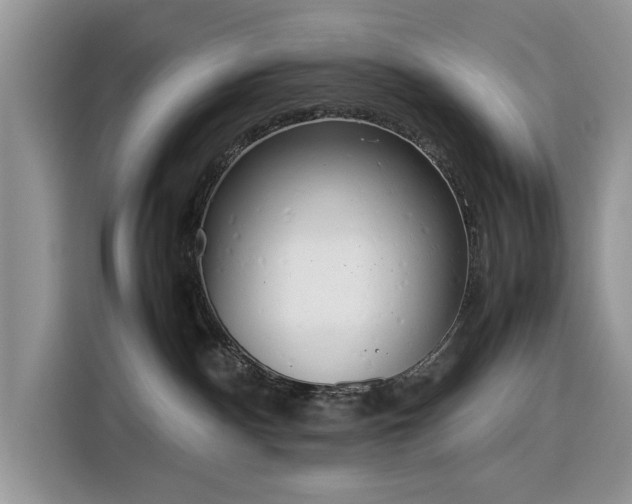 X0000116290140200912071218