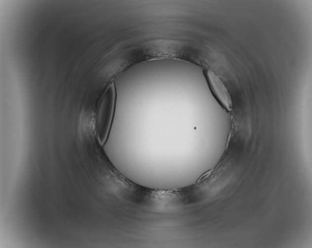 X0000116290141200912071218