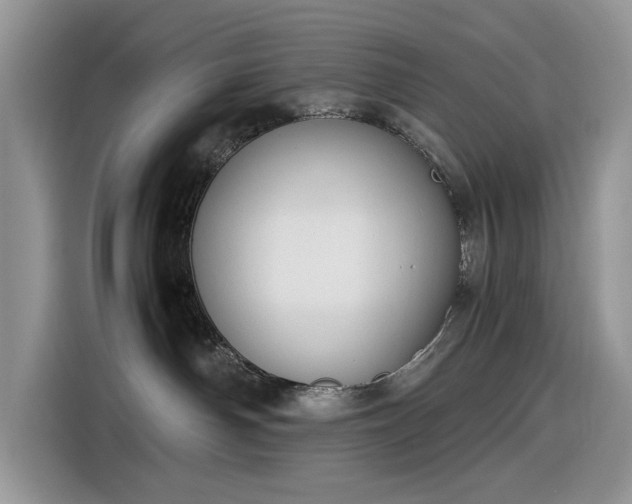 X0000116290142200912071218