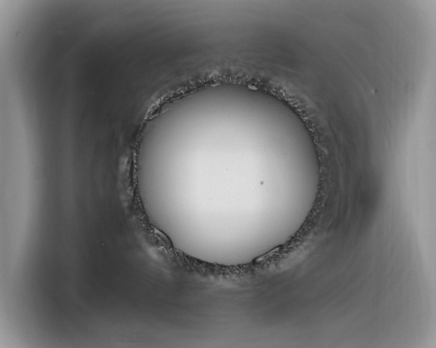 X0000116290144200912071218