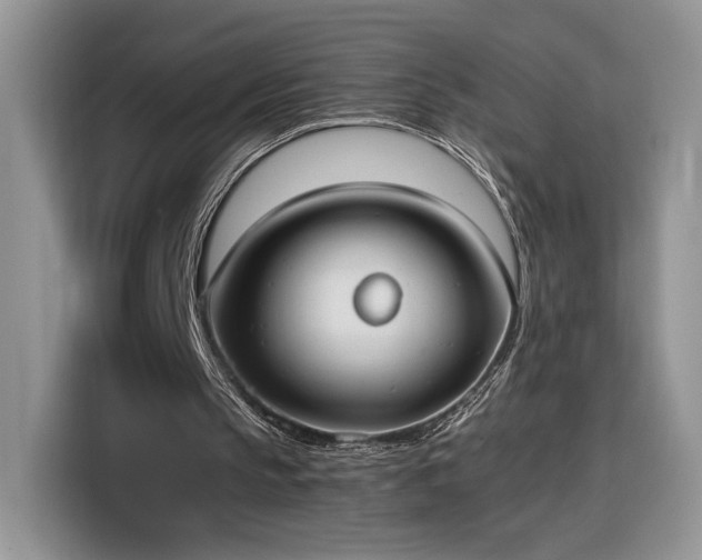 X0000116290145200912071218