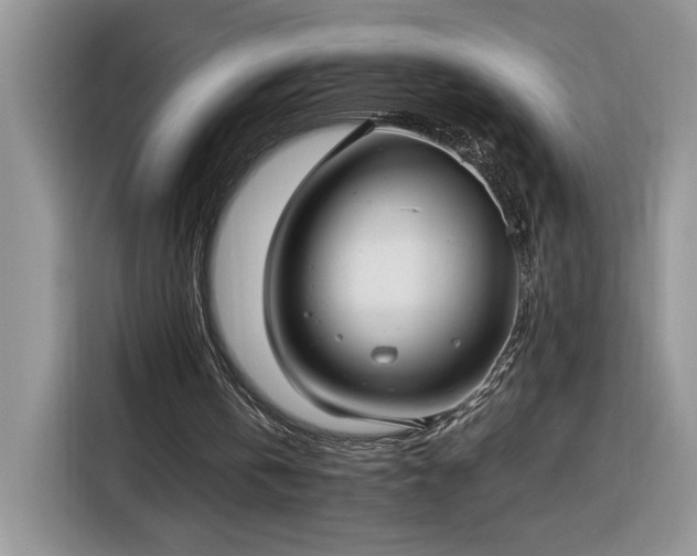 X0000116290146200912071218