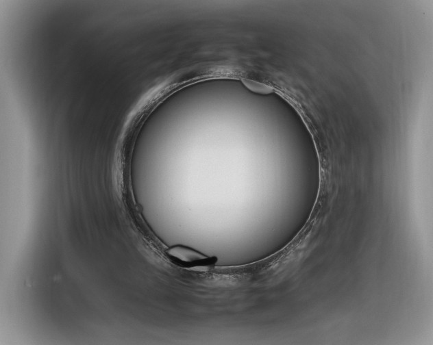 X0000116290149200912071218