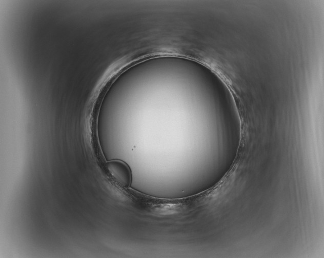 X0000116290151200912071218