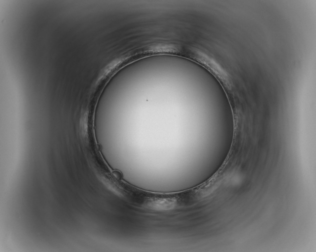 X0000116290155200912071218