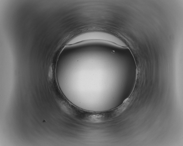 X0000116290158200912071218