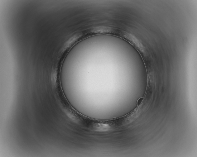 X0000116290159200912071218