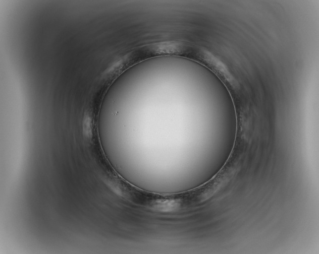 X0000116290161200912071218