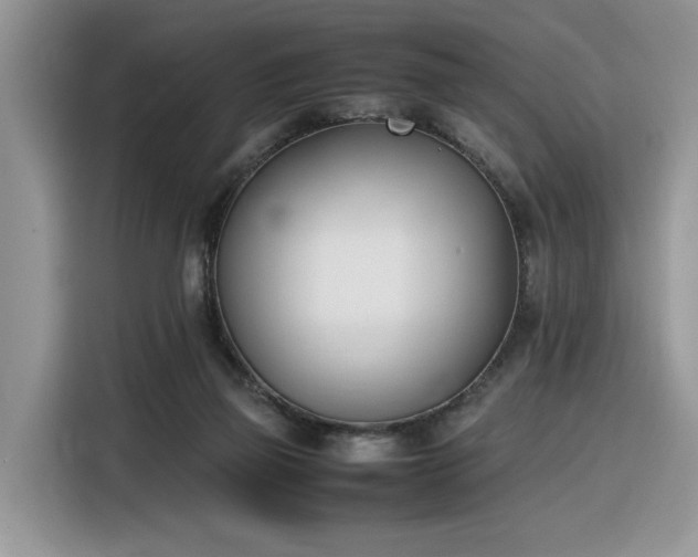 X0000116290165200912071218