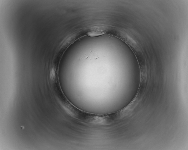 X0000116290166200912071218