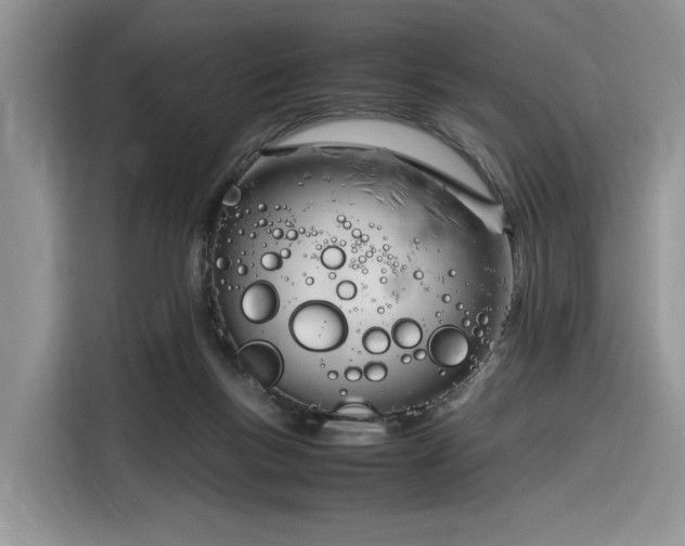 X0000116290167200912071218