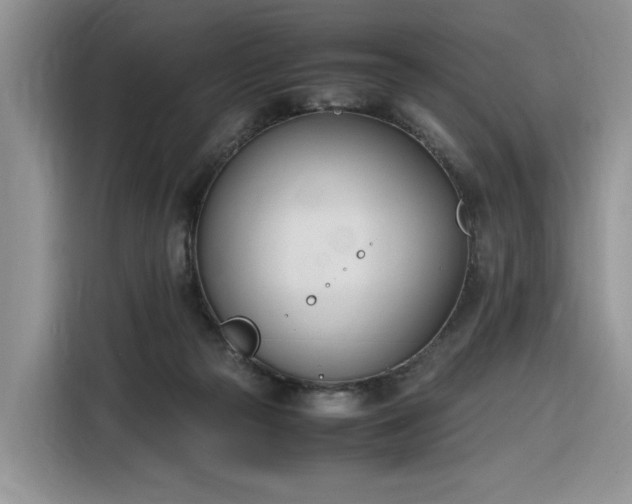 X0000116290169200912071218