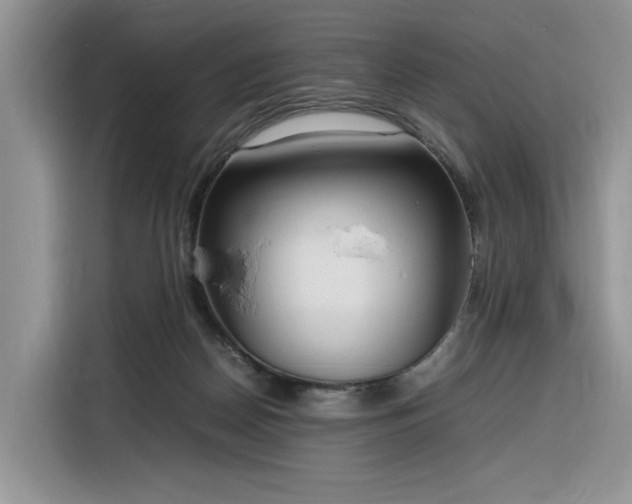 X0000116290170200912071218